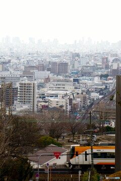 大阪の街を見下ろす