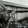 記憶に残る風景　文化住宅