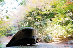 関空特急はるか