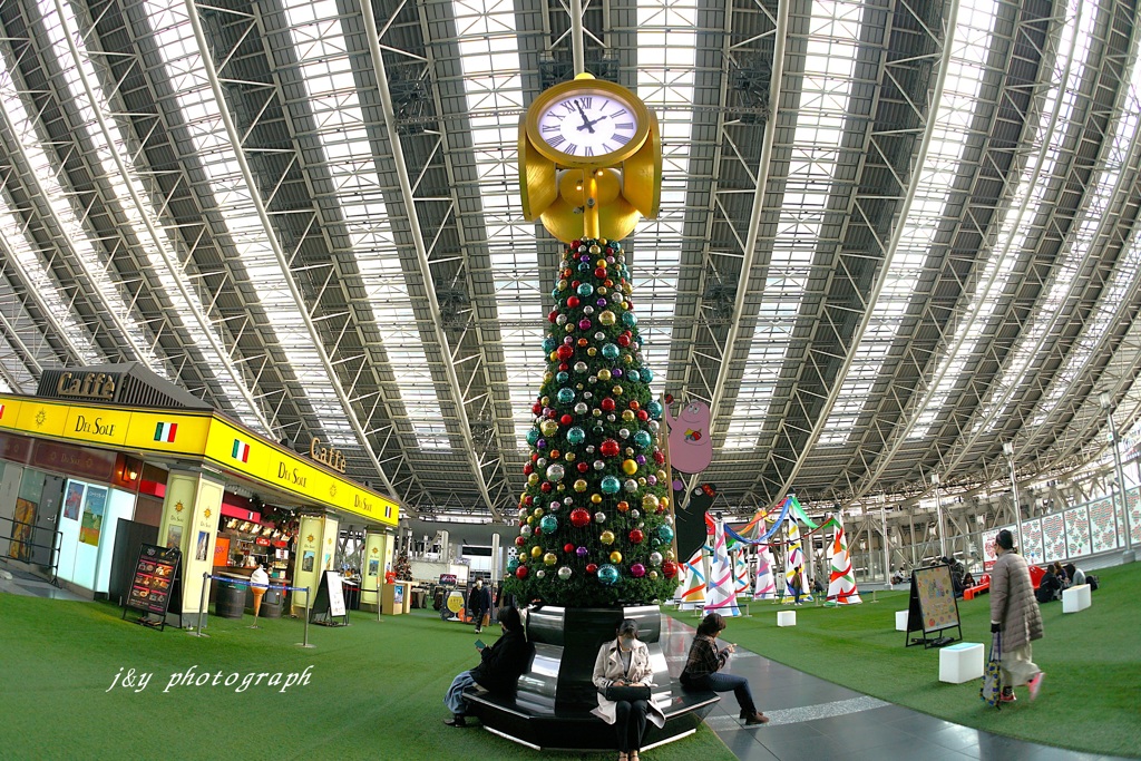 魚眼で見た大屋根