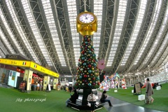 魚眼で見た大屋根