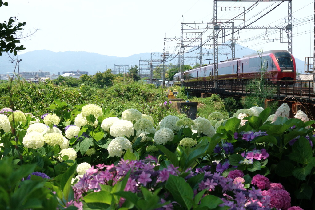 水無月の　ひのとり