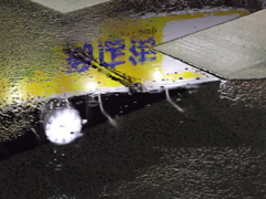 道端風景「横断歩道」