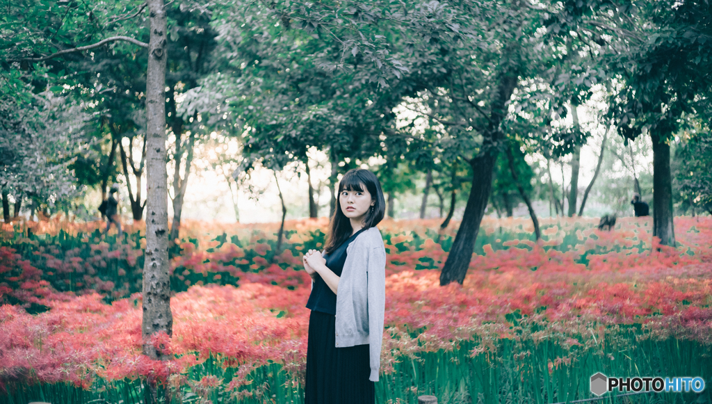 Botanical Vibes