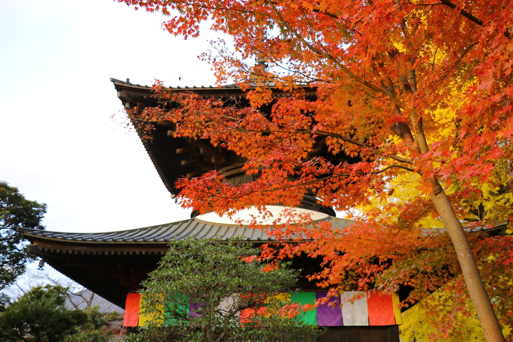 寺院のある風景②