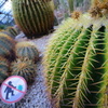 筑波実験植物園①