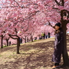満開の河津桜とほほ笑む女性