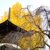 寺院のある風景①