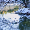 雪景