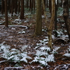 淡雪