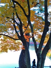 紅葉・岡崎東公園