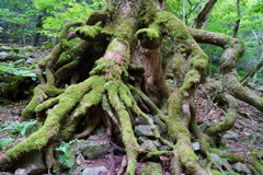 山の神