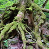 山の神