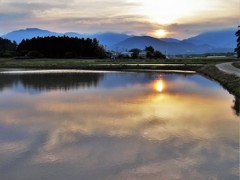 田植え前