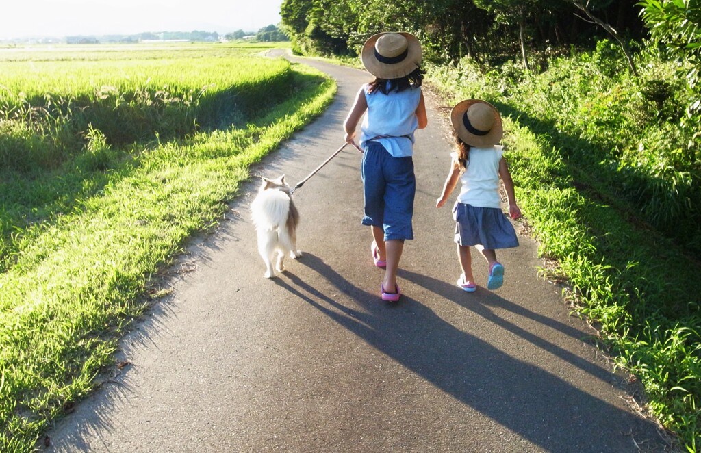 晩夏