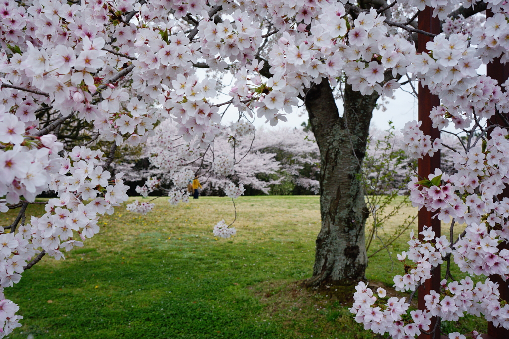 花の首飾り
