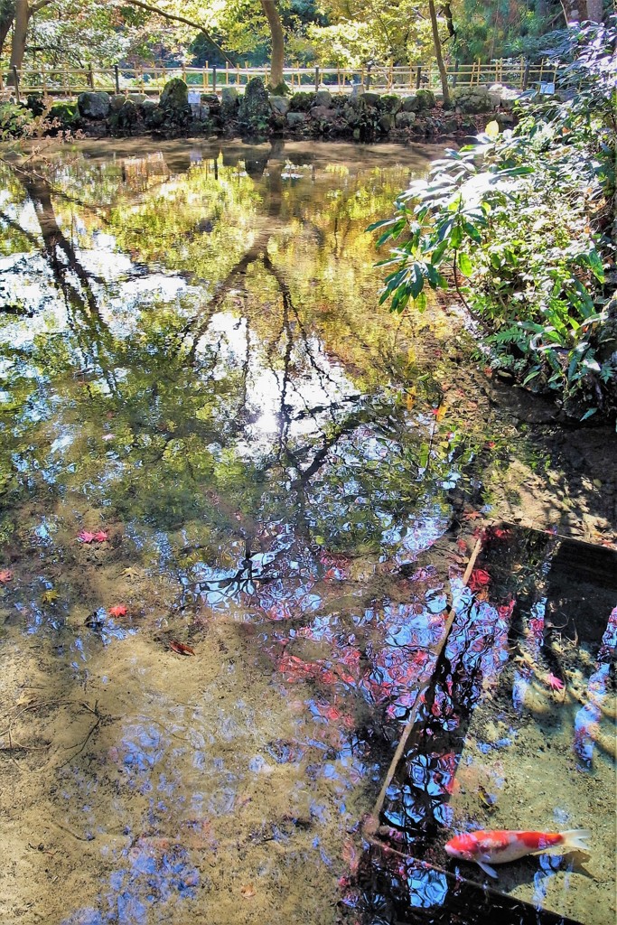 紅葉・聖宝寺