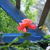 トライアングル