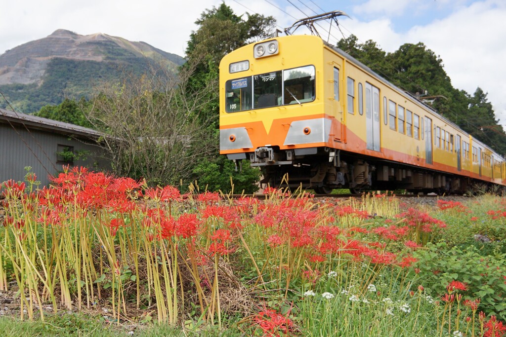 お彼岸の頃