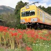 お彼岸の頃