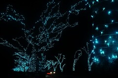 静光