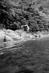昭和４３年８月