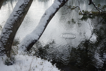 雪解けの雫