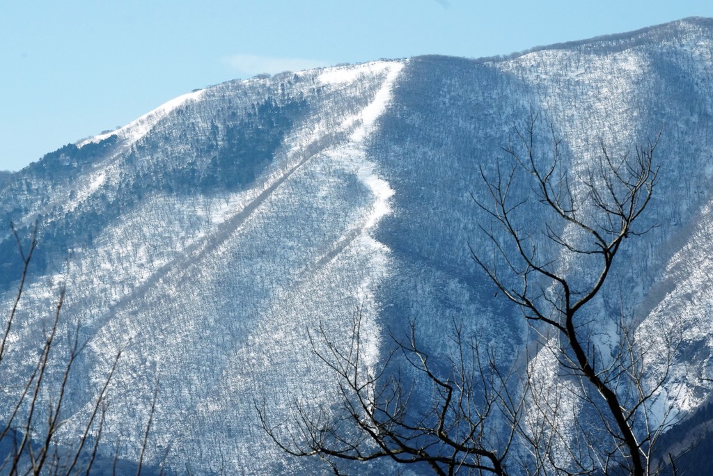 残雪・昇龍型