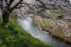 ♪は～るの小川