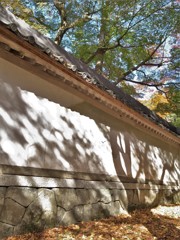 紅葉・東光寺