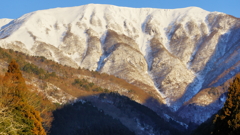 朝の伊吹山