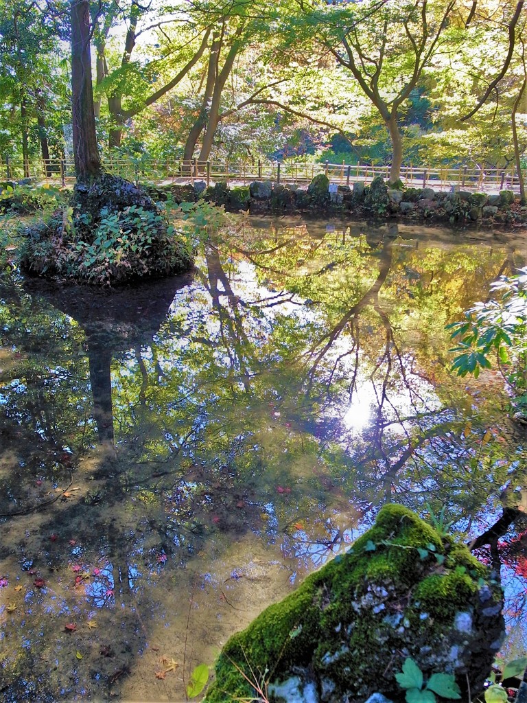紅葉・聖宝寺