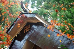 紅葉・鶏足寺