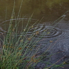 雨滴