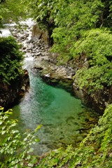 新緑の渓谷