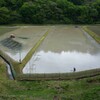 代掻き