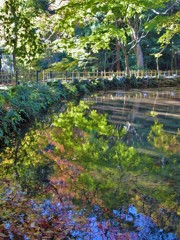 紅葉・聖宝寺