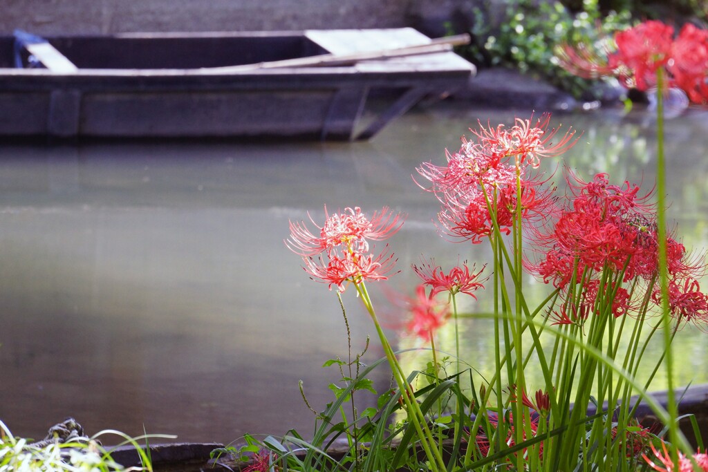 三途の川