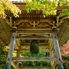 紅葉に響く