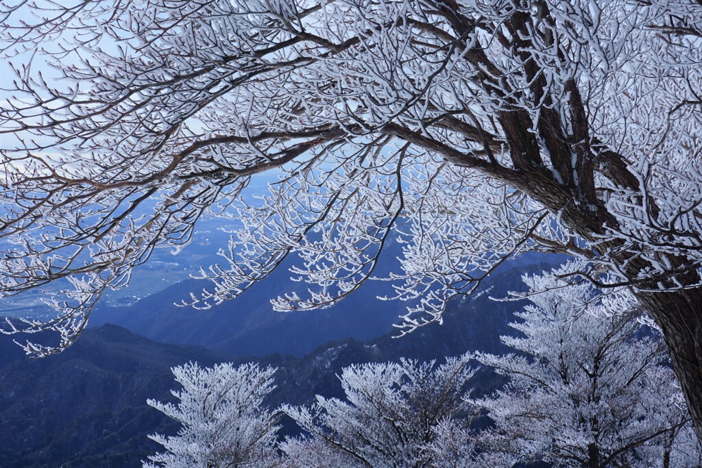 華やぐ山頂