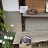 かまわずお入りください