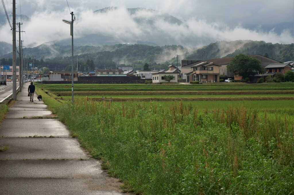 雨上がり