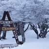 樹氷満開記念