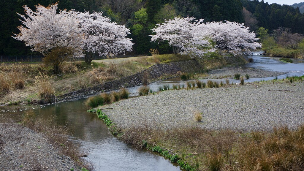 春の小川