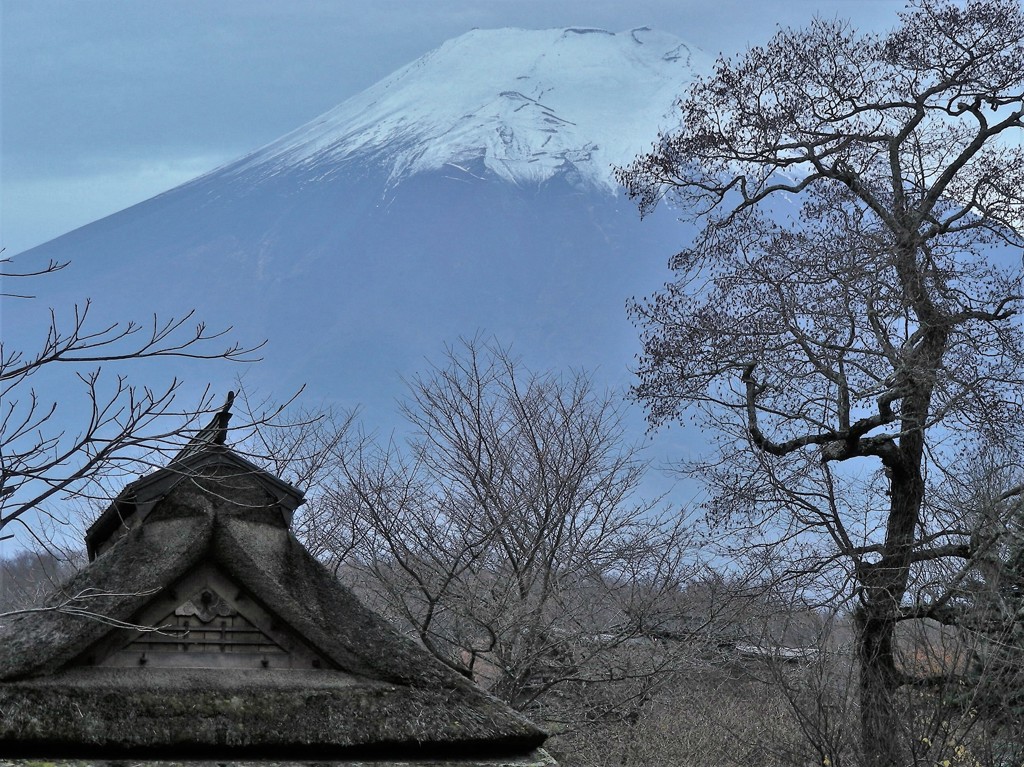 忍野八海より
