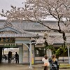 花咲く駅