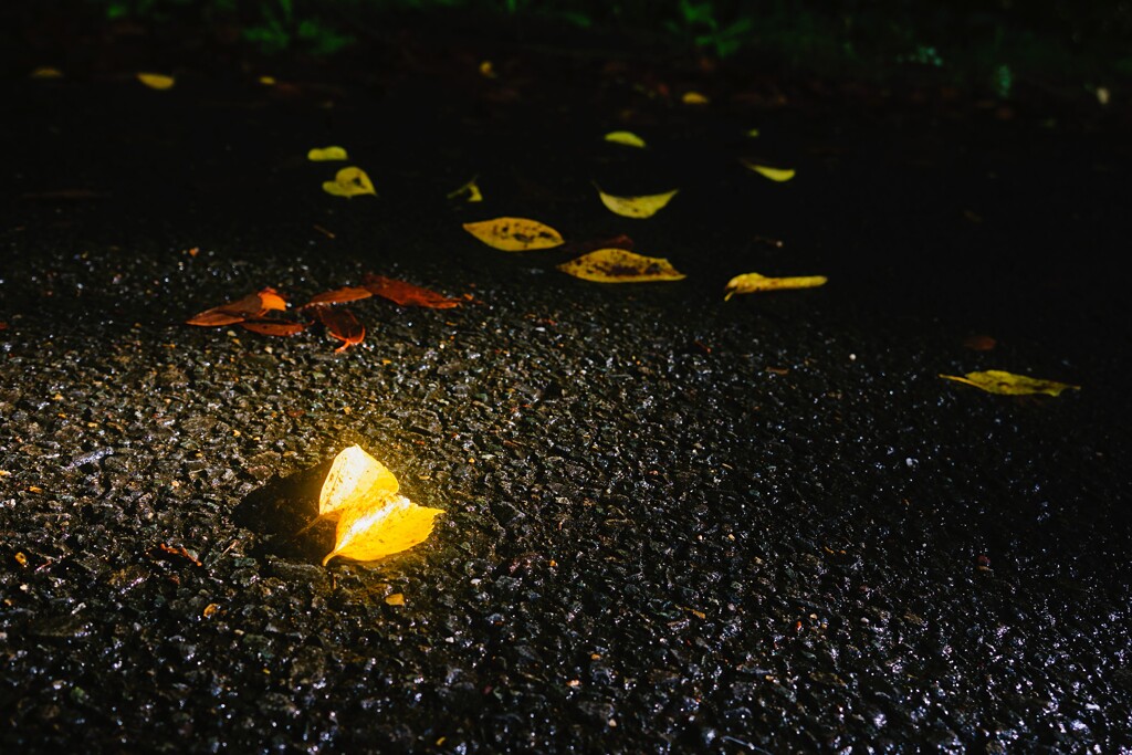 路傍の秋