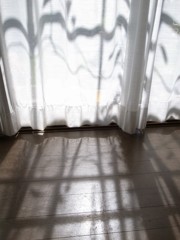 初秋の日差し