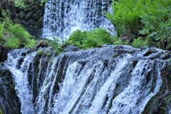涼気
