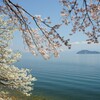 竹生島